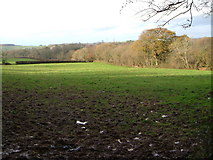 SX6054 : Field near Brook by Derek Harper