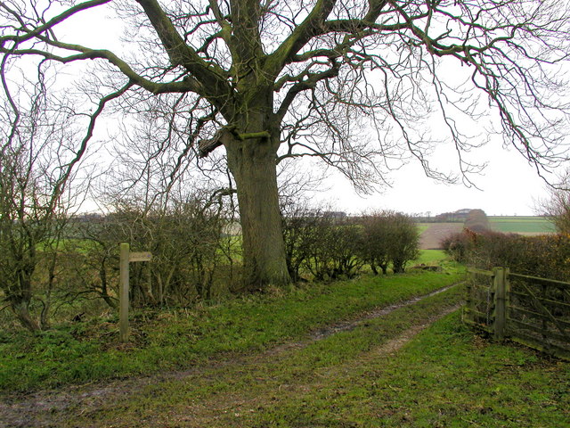 The Wolds Way To Thixen Dale © Andy Beecroft Geograph Britain And Ireland 1144