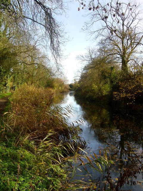 Autumn on the Basingstoke Canal © Hugh Chevallier cc-by-sa/2.0 ...