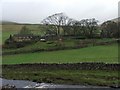 Deep Dale in Langstrothdale.