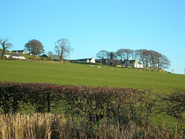 Guiltreehill Farm