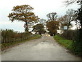 Farm Track to Fox Farm