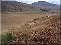 NN3903 : Flat Valley Steep Hills by Adam Ward