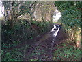 Damp footpath at Coyton