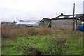 Old nursery buildings on the Little Woodcote Estate.