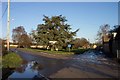 Approaching Quenington village green.