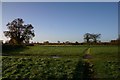 Footpath to Oldhall Green