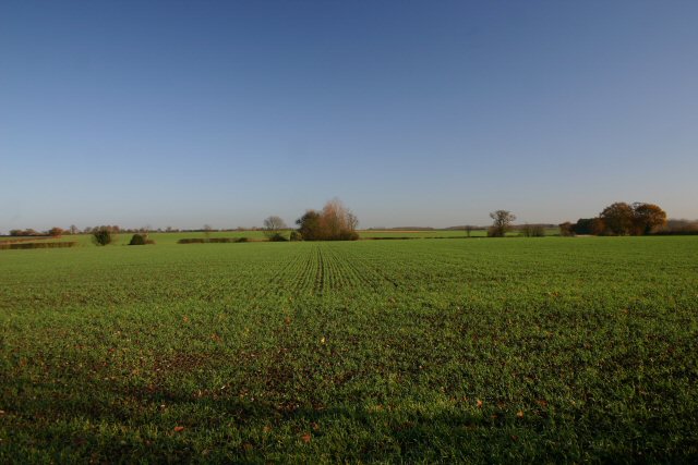 Farmland at Button's Green