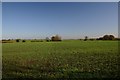 TL9253 : Farmland at Button's Green by Bob Jones