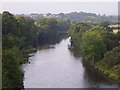 NY4654 : River Eden from Railway Bridge at Wetheral by Eleanor Graham