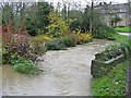 River Glyme in flood Cleveley Oxfordshire