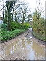 Marl Lane Fordingbridge Hampshire