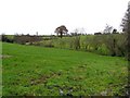 Aughnagranna Townland