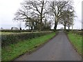 Road at Lenadremnagh