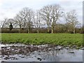 Back Lower Townland