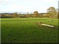 Back Upper Townland