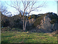 Old Quarry