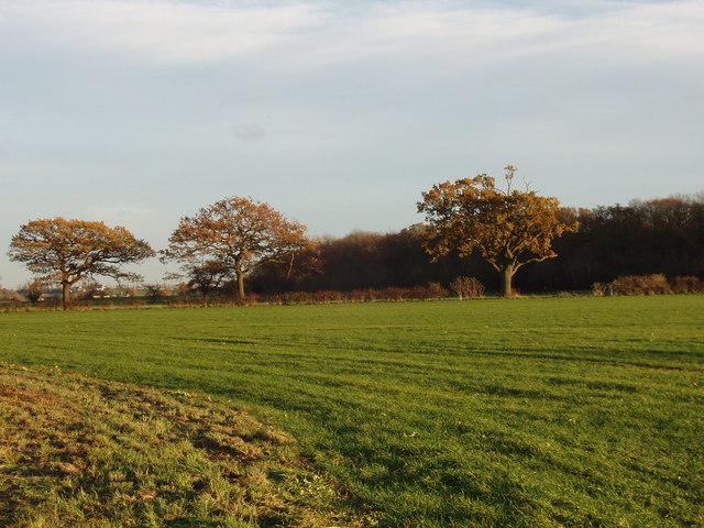 Field and Rolts Wood, Upwood