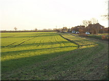 TL2682 : Fields by Raveley Road, Upwood by David Hawgood