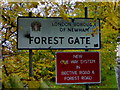 Arriving in Forest Gate