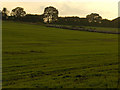 Farmland near Ludgershall