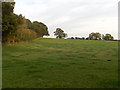 Farmland near Ludgershall