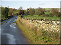 The Road To Scar Spring Wood