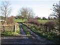 A Public Bridleway