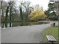 West end of the lake, Holmfield Park