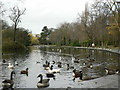 East end of the lake, Holmfield Park