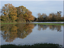 SU7874 : Loddon floodwaters by Andrew Smith