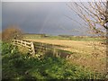 Stubble field