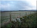 Fields in December