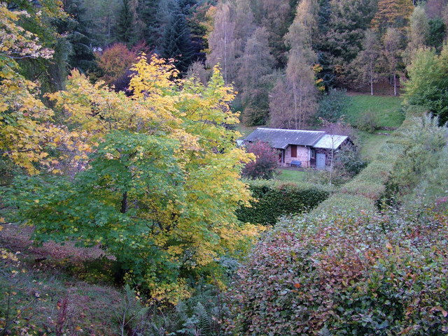 Cottage in the woods at Kildrummy