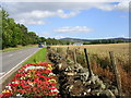 The Road (A944) from Alford to Aberdeen