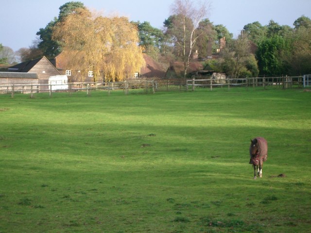 Field at Ripsley Farm