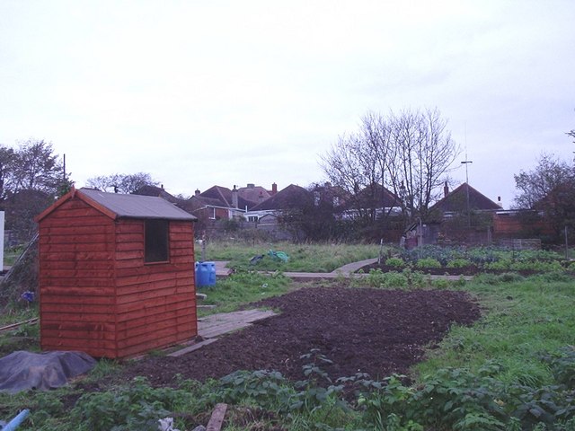 The allotments north of the Old Shoreham Road Portslade
