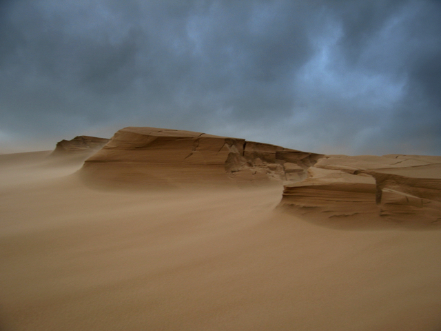 Sand storm on the Sands of Forvie