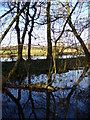 Wetlands, Riverside Park