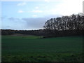 Farmland by Jobbers Lane