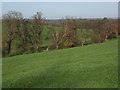 Farmland, Berkshire College of Agriculture