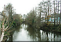 River Ely, Cardiff