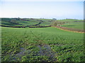 View to Pond Farm