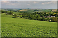 Countryside north of Lifton