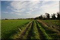 Bridleway to Wamil Hall