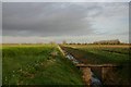 Fenland drain