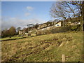 Pasture below Lamb Hall Road, Longwood