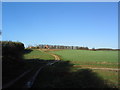 View north towards Park House, Grimsthorpe Park