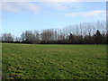 View towards River Allen at Bidcombe Cottages