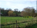 View towards stream from Holly Grove Farm